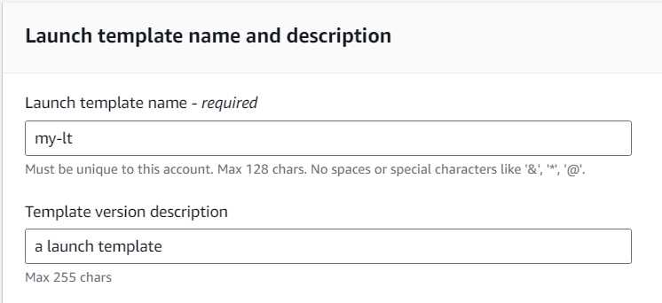 Launch Template Basic Settings