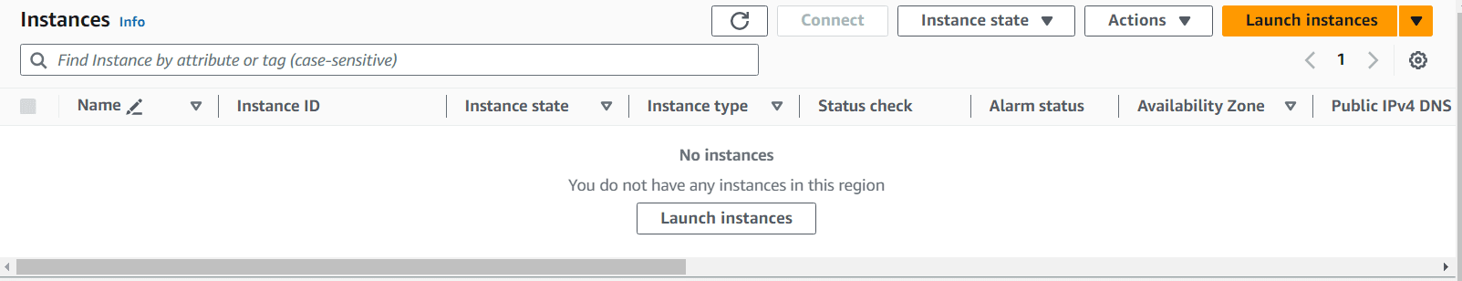 Launch Instances Button