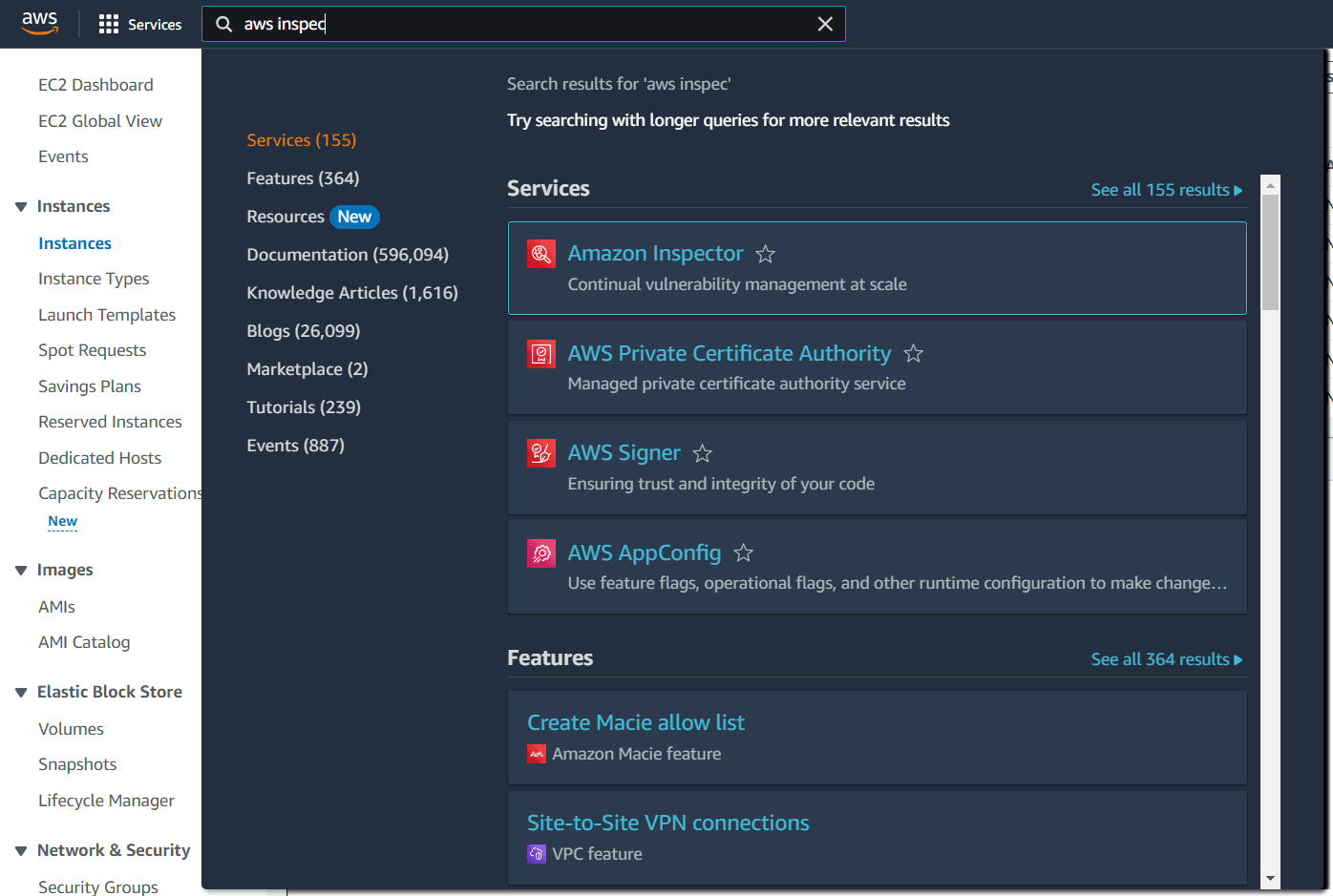 Search Amazon Inspector