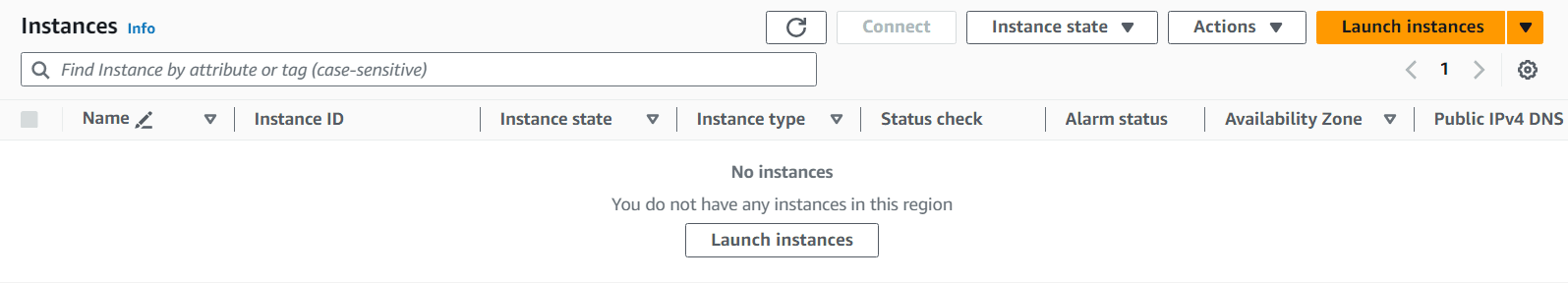 Launch Instances Button