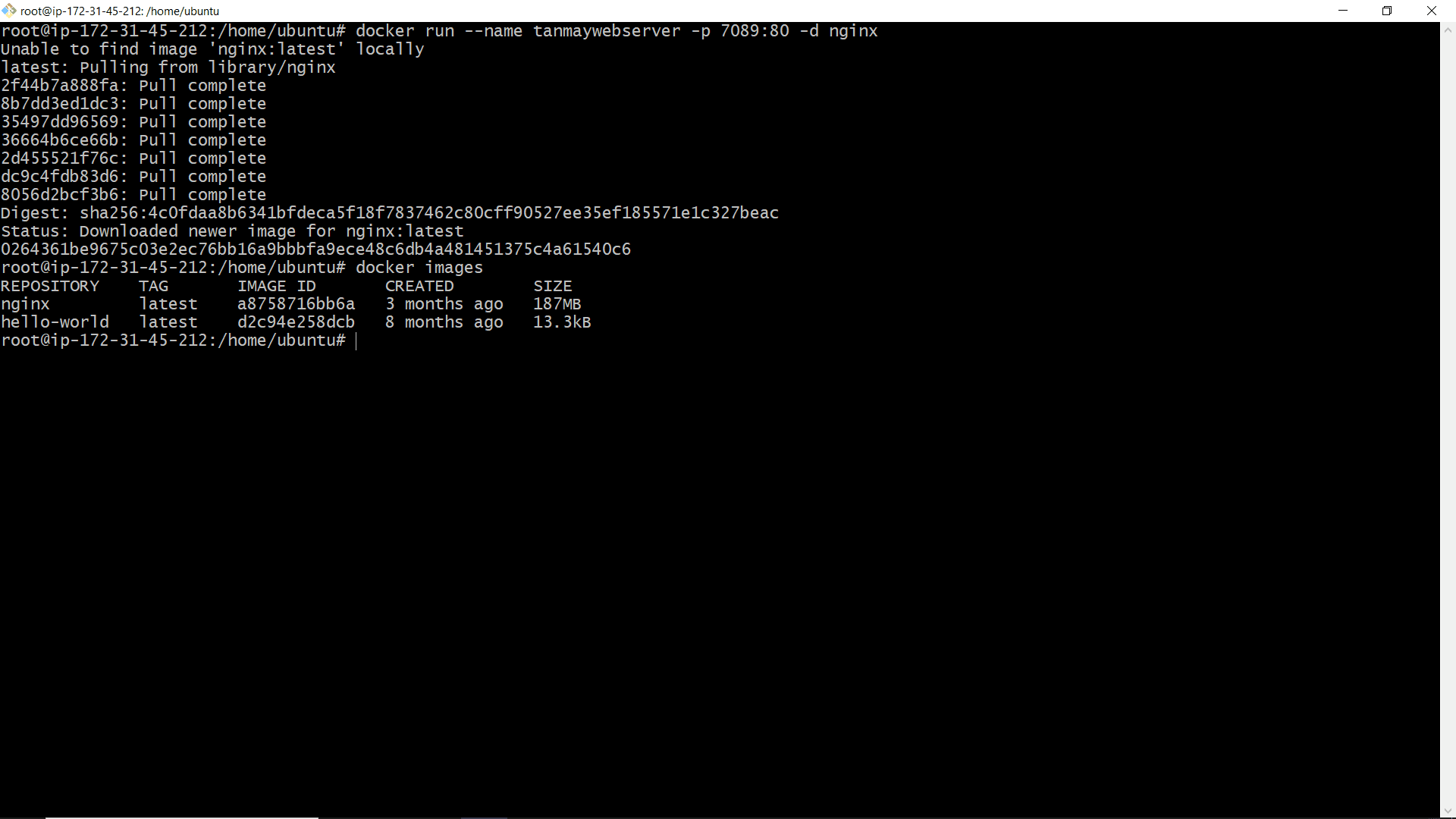 Start Docker Service