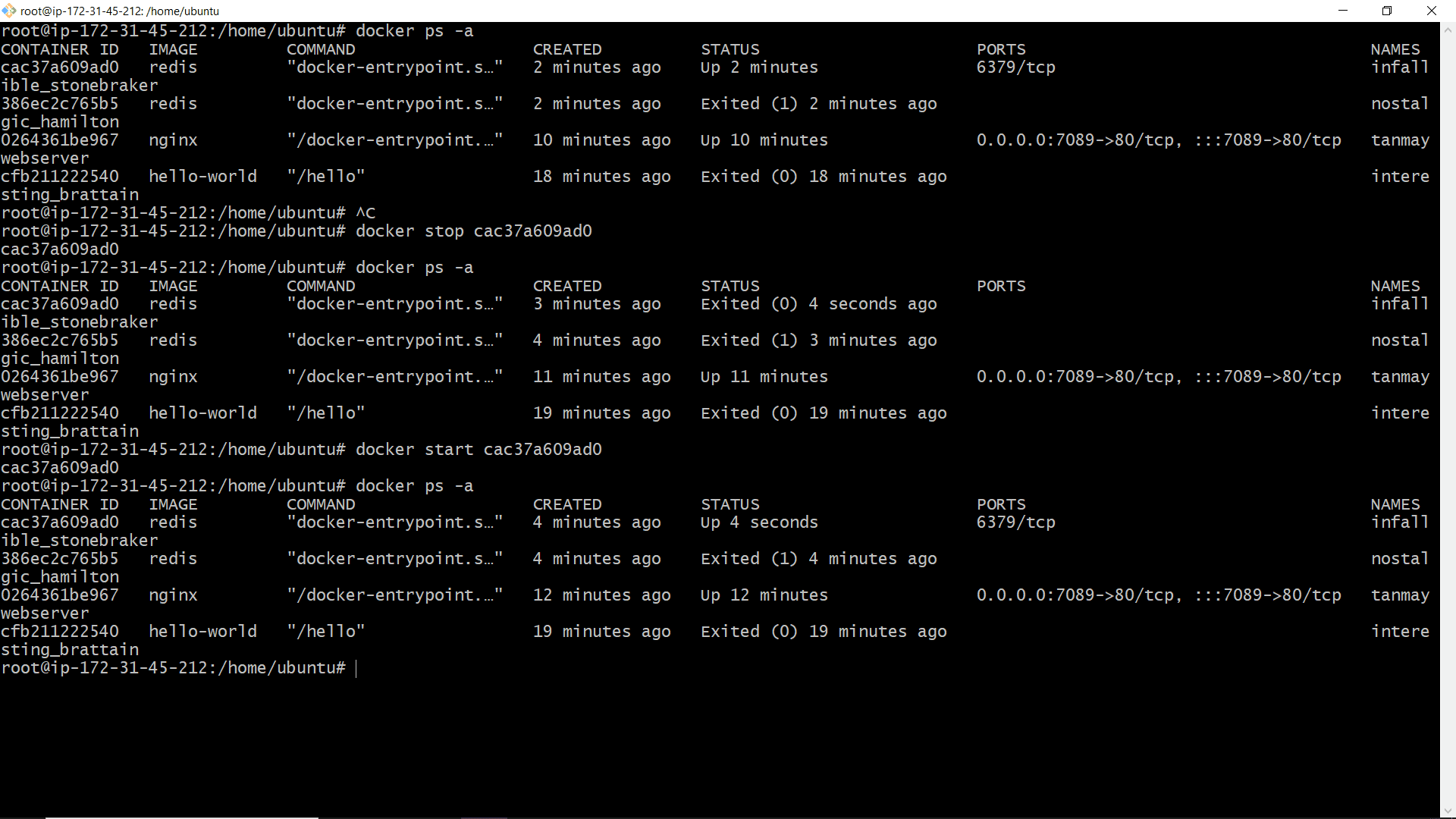Stop and Restart Redis
