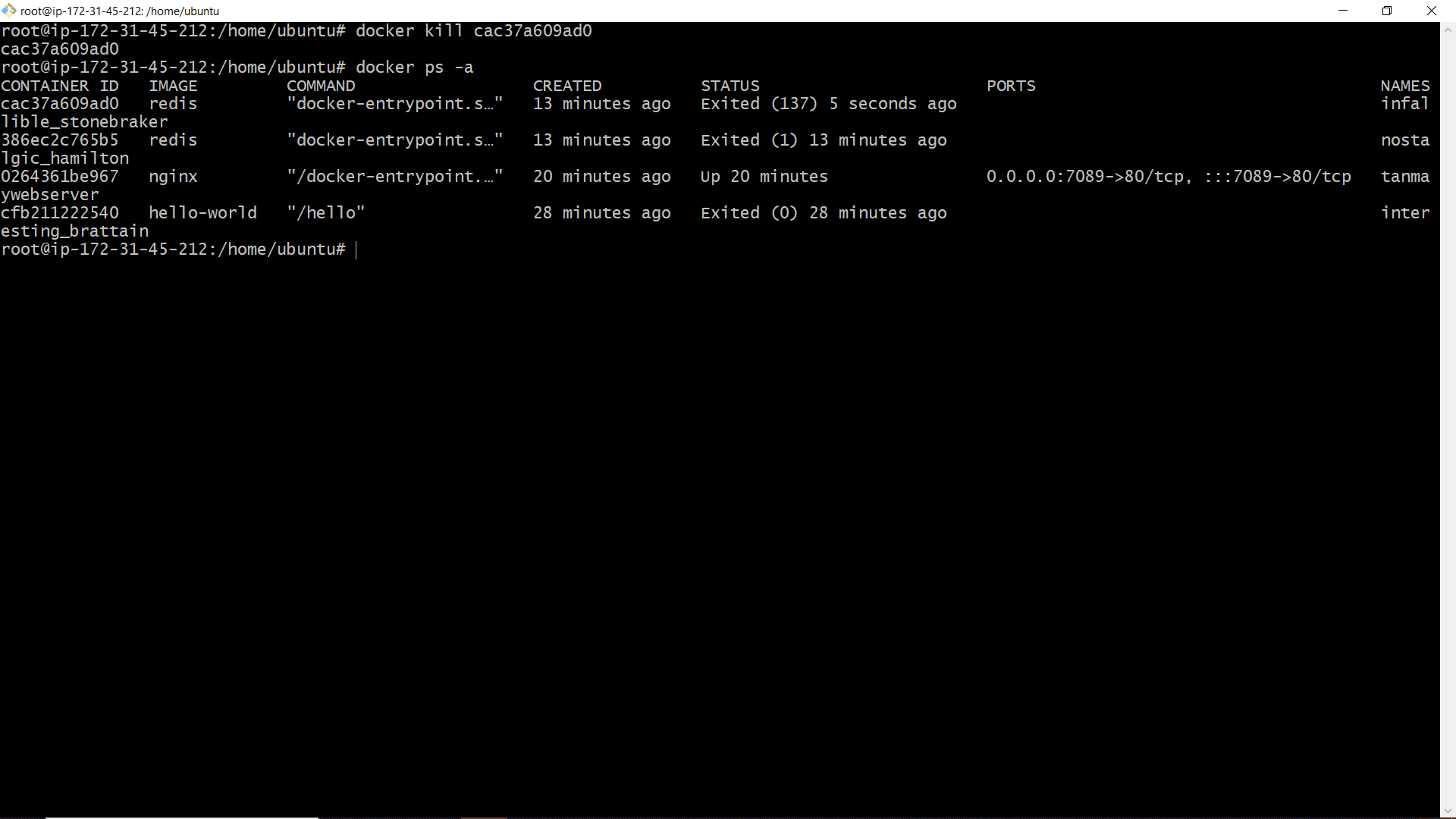 Kill Redis Container