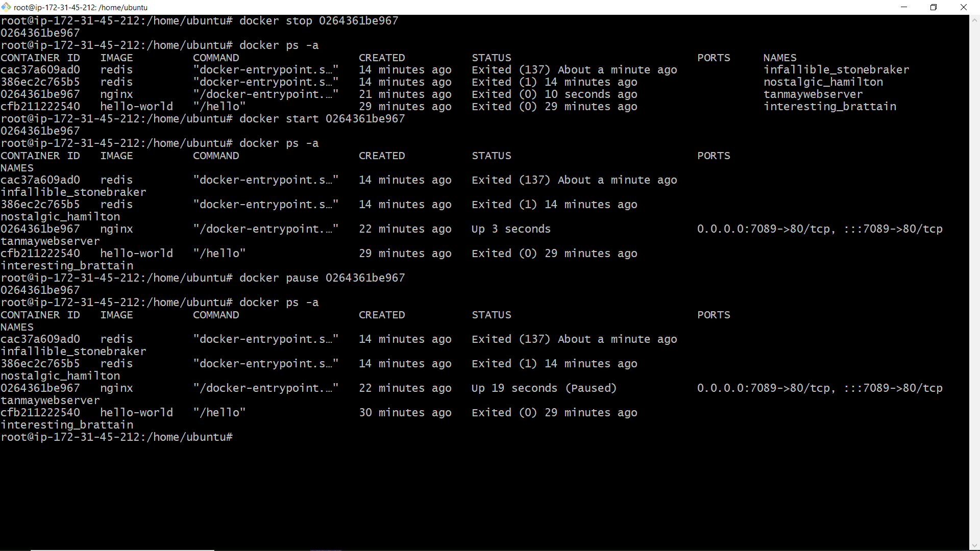 Nginx Container Operations