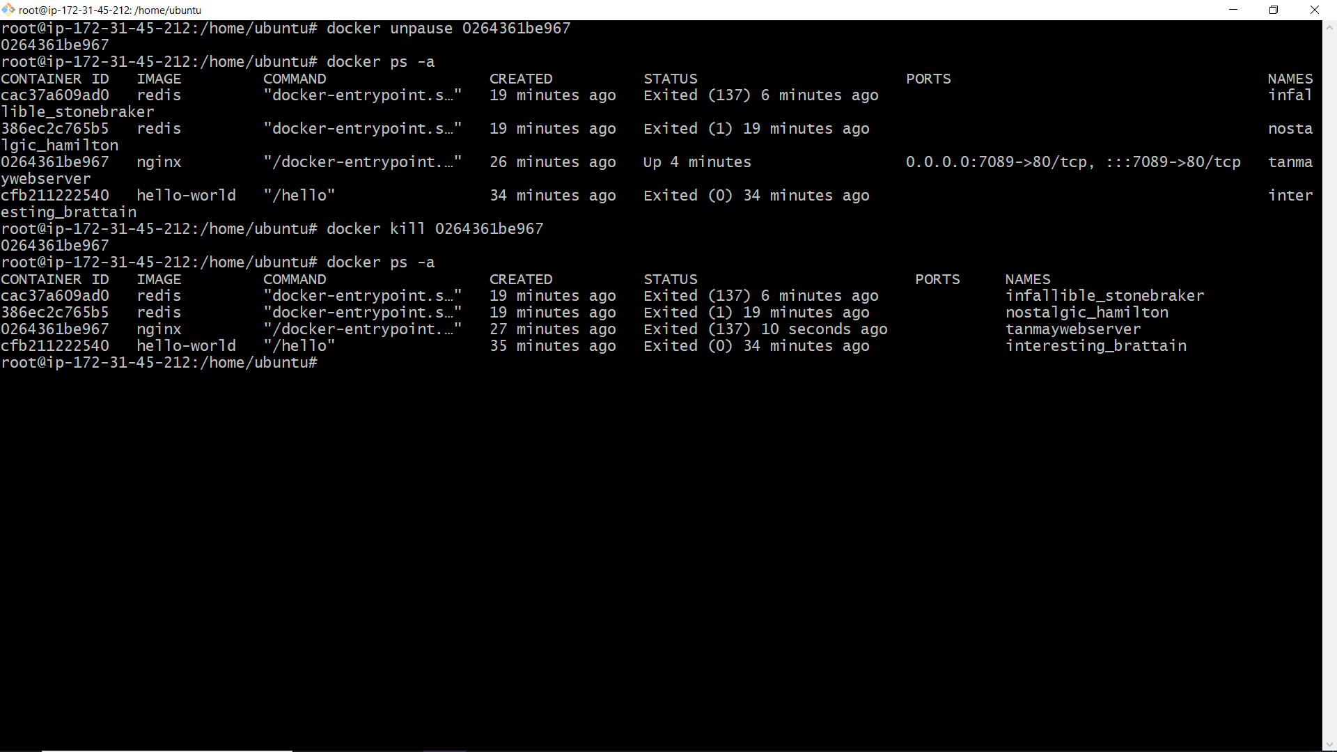 Unpause and Kill Nginx